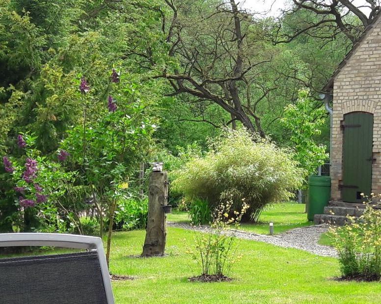 Hotel Gutshaus Zietlitz Dobbin-Linstow Zewnętrze zdjęcie